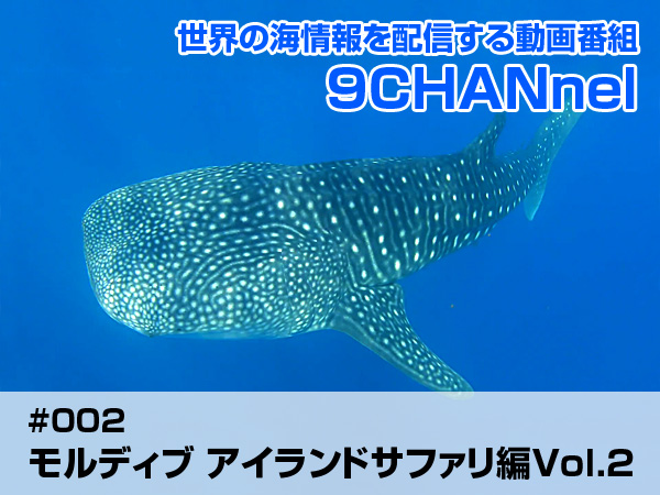 世界の海情報を配信する動画番組「9CHANnel」#002 モルディブ アイランドサファリ編Vol.2