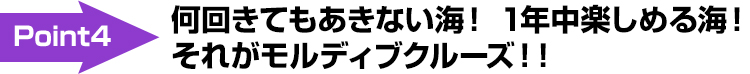 何回きてもあきない海！ 1年中楽しめる海！それがモルディブクルーズ！！