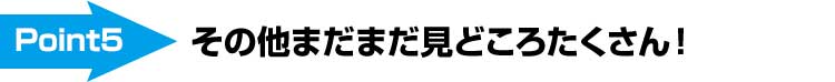 その他まだまだ見どころたくさん！
