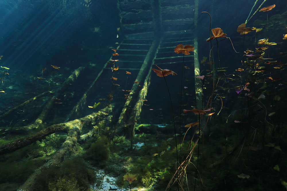 カンクンでのダイビングレポート 水中写真家 鍵井靖章｜ダイビング