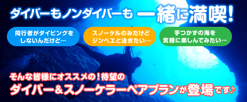 ダイバー＆スノーケラーペアプラン
