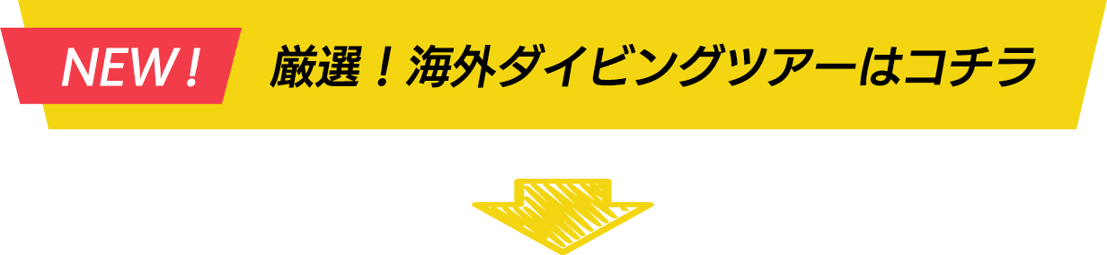 2024年夏休み・サマーシーズン 海外ダイビングツアー