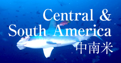 中南米
