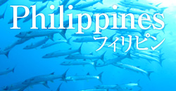 フィリピン