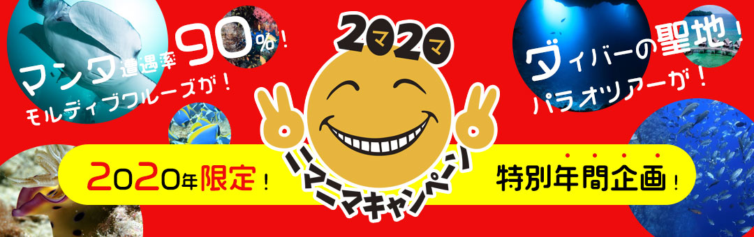 ニマニマキャンペーン