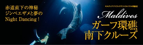 モルディブ・アイランドサファリロイヤル乗船記「ガーフ環礁南下クルーズ」