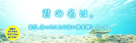 君の名はキャンペーン実施中