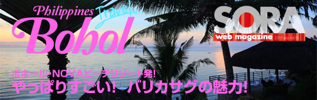 SORA-Web ボホール