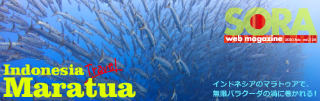 SORA-Web マラトゥア