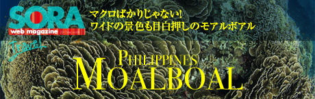 SORA-Web モアルボアル