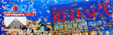 SORA-Web 紅海