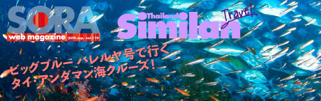 SORA-Web シミラン