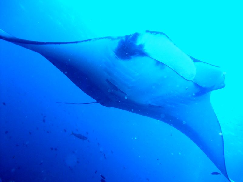 ランタ島（クラビ）