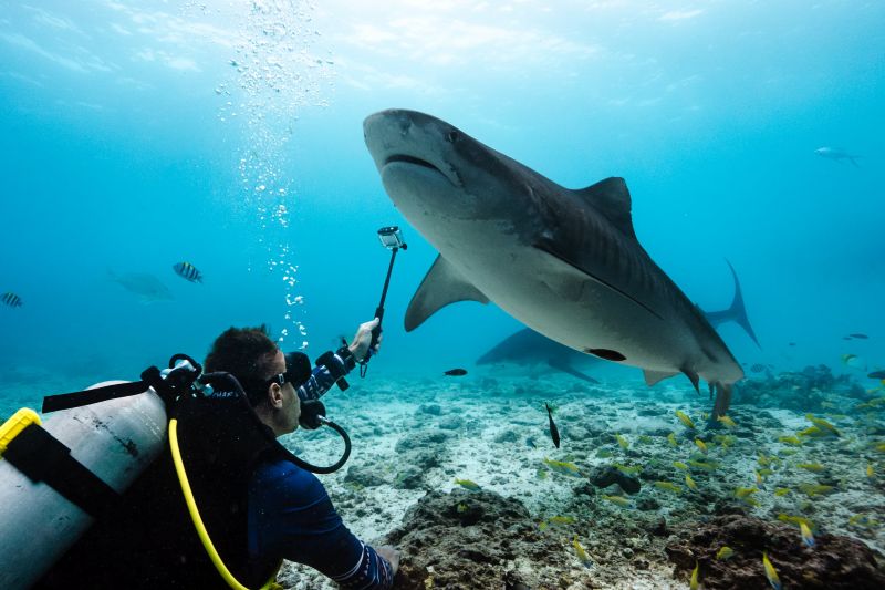 フォームラ環礁