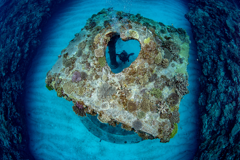 【羽田発】サンゴ礁の島～与論島～5日間 写真