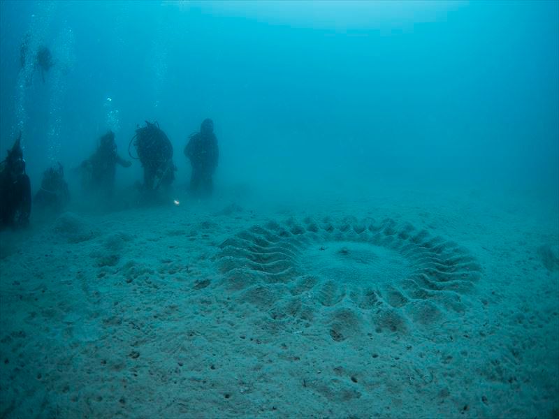 海底のミステリーサークルを見に、いざ！奄美大島へ！！