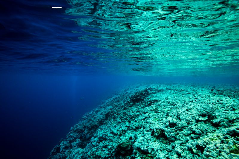 世界遺産の海でダイビング♪グレートバリアリーフへ！
