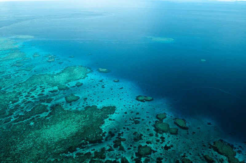 世界遺産の海でダイビング♪グレートバリアリーフへ！
