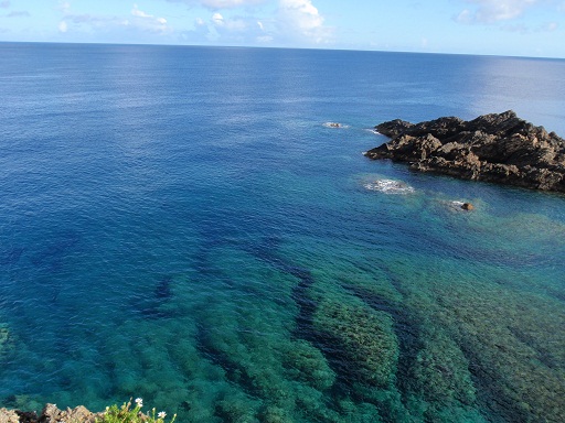 圧巻の海中世界！【沖永良部】ザトウクジラの海！