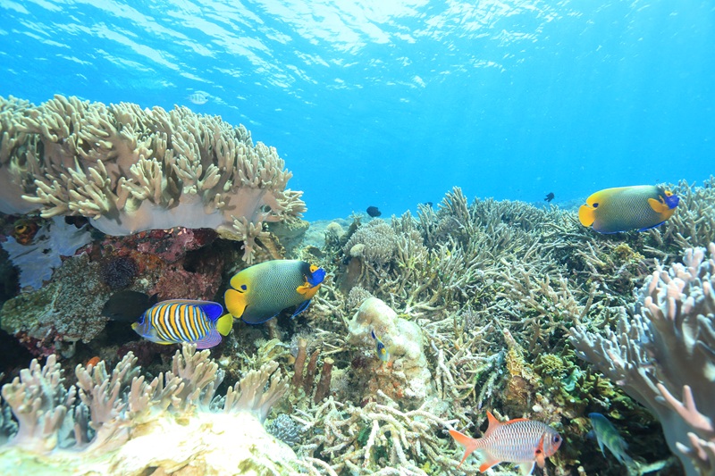 【30周年記念ツアー】2026年　的場同行限定ツアー発表！！