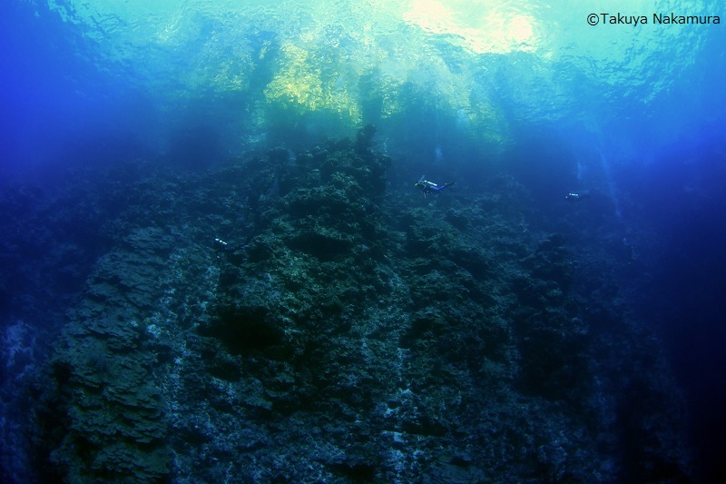 ダイナミックでバラエティに富んだ海を潜る！16ダイブ付 8日間　ラッセル諸島 写真6