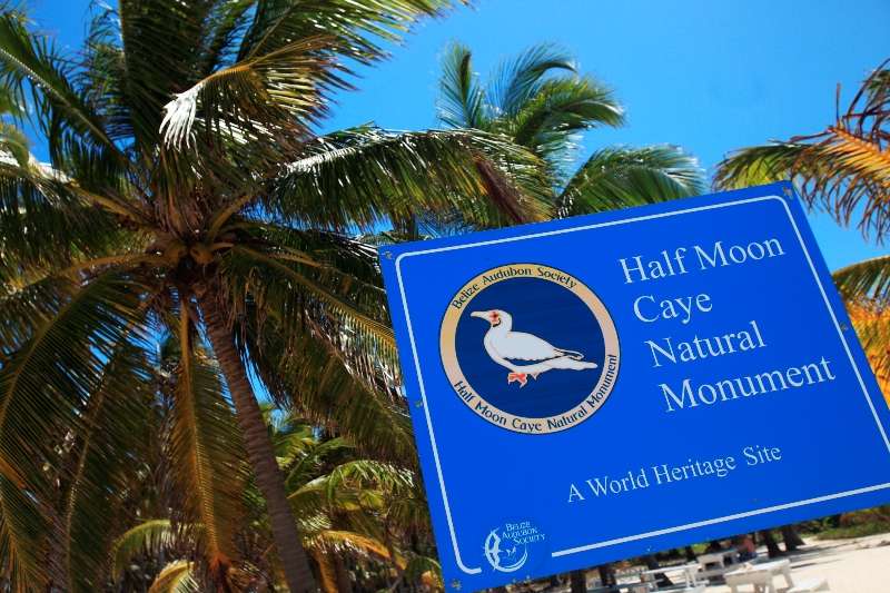 カリブ海の世界遺産『ブルーホールを潜ります！』知られざる楽園・中米『ベリーズ』を潜るダイビングツアー！！ 最大9ダイブ付 7日間 写真