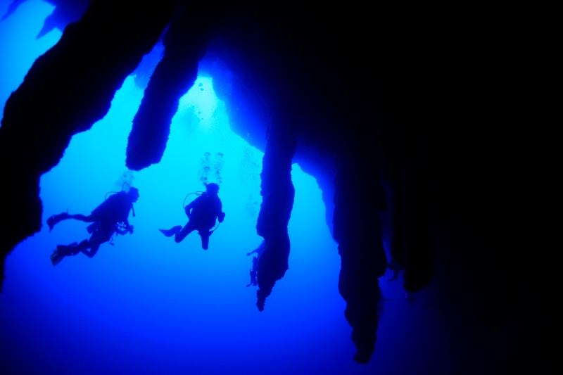 世界第2位の大サンゴ礁地帯、ベリーズバリアリーフを堪能！知られざる楽園・中米『ベリーズ』を潜るダイビングツアー！！ 最大6ダイブ付 7日間 写真