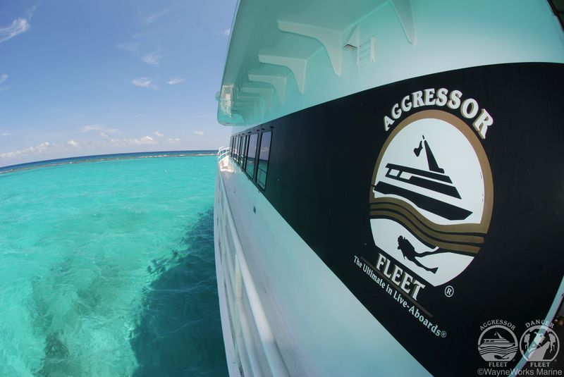 世界第2位の大サンゴ礁地帯、ベリーズバリアリーフを堪能！知られざる楽園・中米『ベリーズ』を潜るダイビングツアー！！ 最大6ダイブ付 7日間 写真2