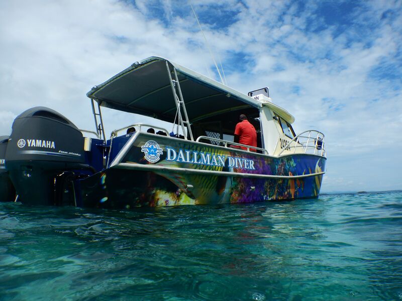 【シングルダイバーキャンペーン】パプア最大のリゾート＆ダイナミックな海 マダンを潜る！ 最大8ダイブ付 8日間 写真6
