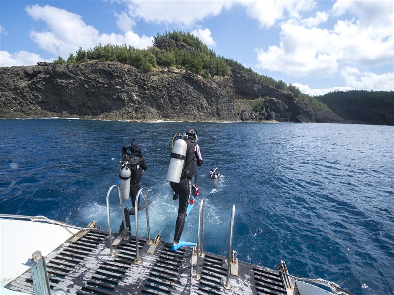 ★★We dayツアー★★ボニンブルーの海でイルカとダイビング！！ 写真5