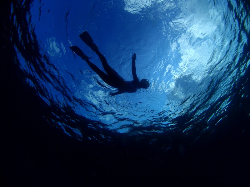 【千歳発】美ら海を潜る！！沖縄本島 4日間 写真