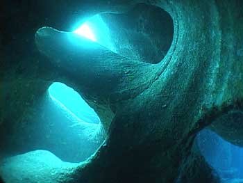【伊丹発】神秘の海底遺跡と大物たちの海！与那国島　5日間 写真1