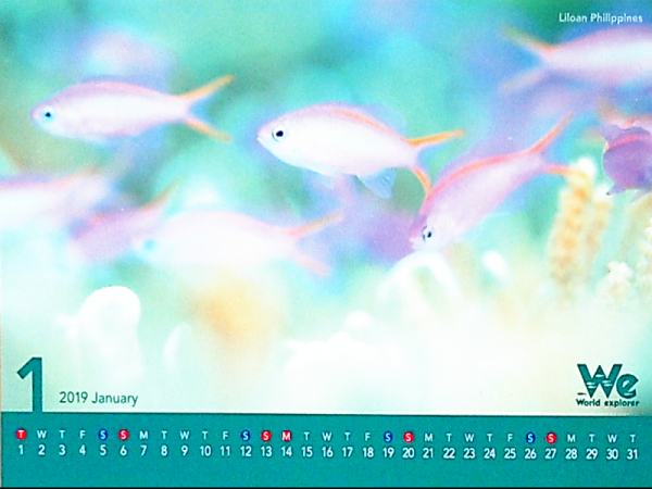 第二弾◆◇2019年卓上カレンダー企画◇◆～フィリピン・リロアン～ 写真