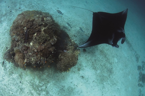 個性的な海を求めるなら．．． 写真