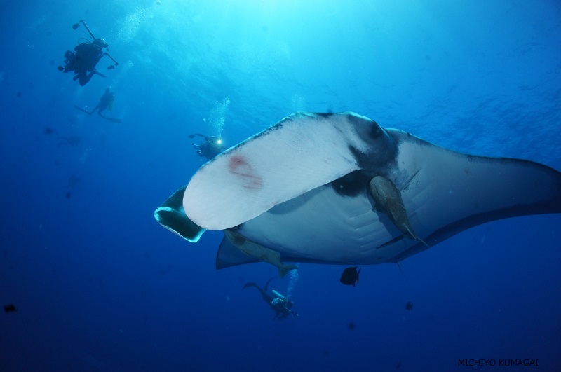 ドキドキ★ワクワクがとまらない海♪ 写真