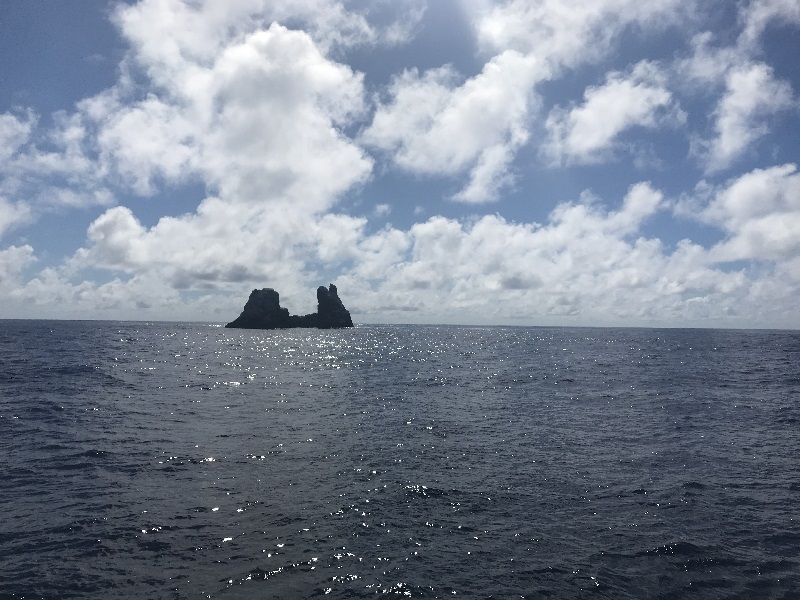 アドレナリンマックスの海【ソコロ】 写真